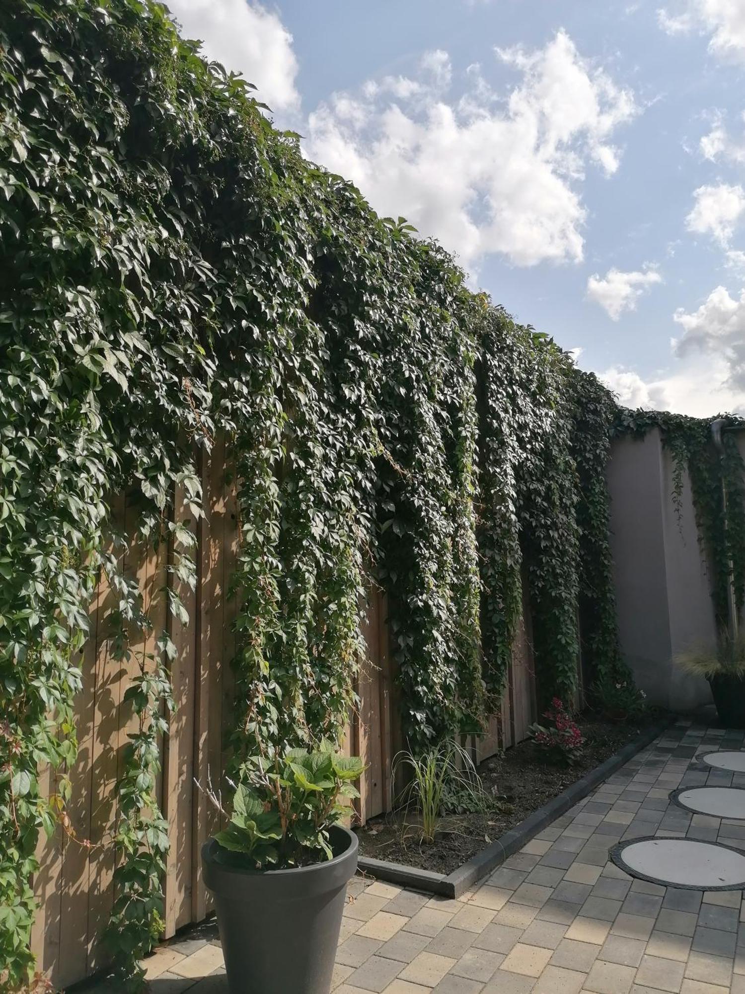 Ackerbuergerhof Ballstrasse 18 كيدلينبورغ المظهر الخارجي الصورة