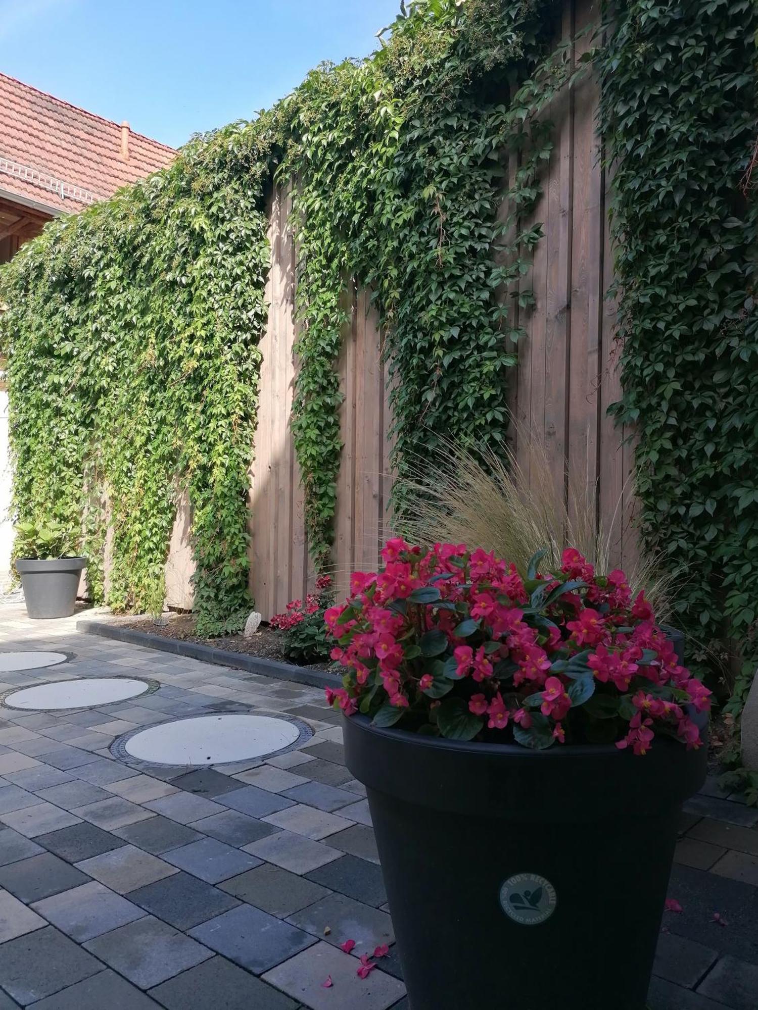 Ackerbuergerhof Ballstrasse 18 كيدلينبورغ المظهر الخارجي الصورة
